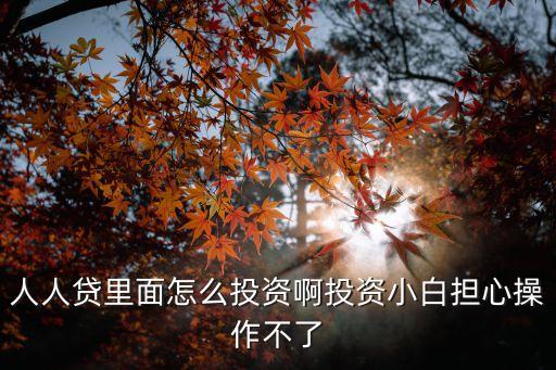 人人貸里面怎么投資啊投資小白擔(dān)心操作不了
