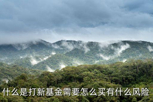 什么是打新基金需要怎么買有什么風險