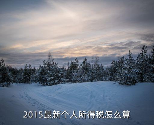 個(gè)人所得稅怎么算2015年，2015年中國個(gè)人稅收是多少