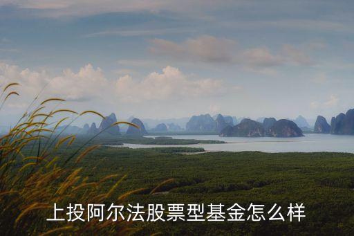 上投阿爾法基金怎么樣，上投阿爾法股票型基金怎么樣