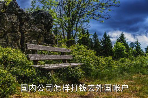 國(guó)內(nèi)公司對(duì)外國(guó)公司匯款怎么辦，中國(guó)公司往美國(guó)公司外匯怎么辦理