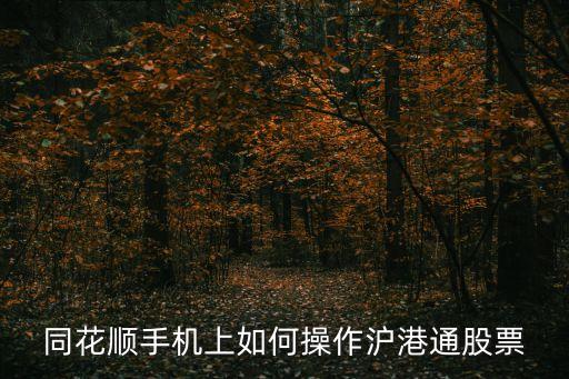 同花順怎么看滬股通，同花順怎么查賬戶有沒有開通滬市證劵