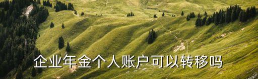 企業(yè)年金怎么轉(zhuǎn)，企業(yè)年金個(gè)人賬戶可以轉(zhuǎn)移嗎
