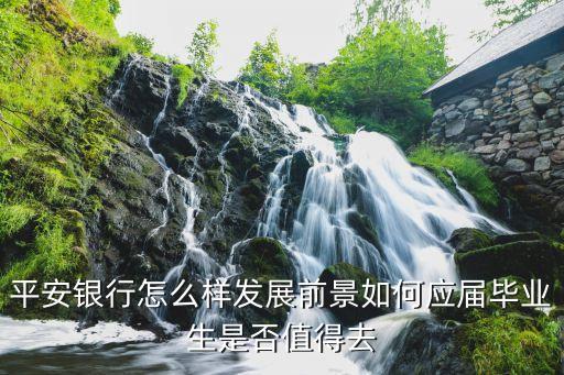 平安銀行開(kāi)發(fā)怎么樣，平安銀行怎么樣平安銀行好不好