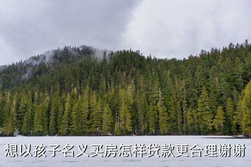 給小孩買房怎么貸款，想以孩子名義買房怎樣貸款更合理謝謝