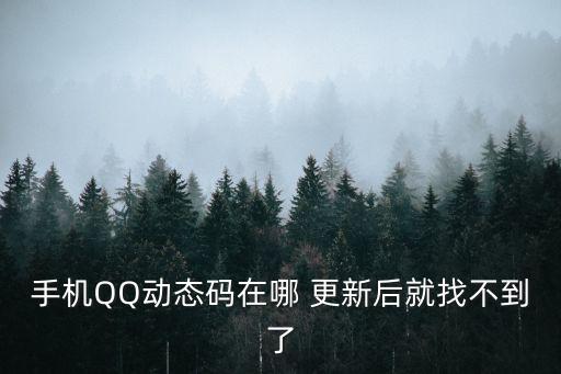 手機(jī)QQ動(dòng)態(tài)碼在哪 更新后就找不到了