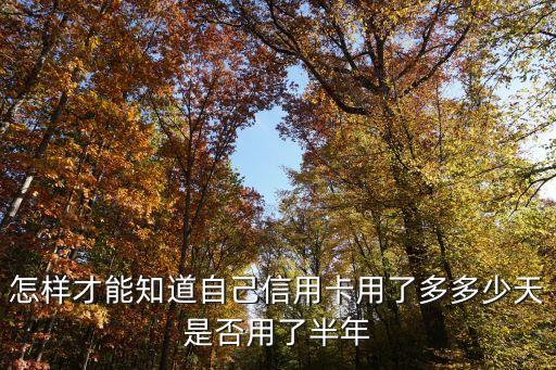 怎樣才能知道自己信用卡用了多多少天是否用了半年