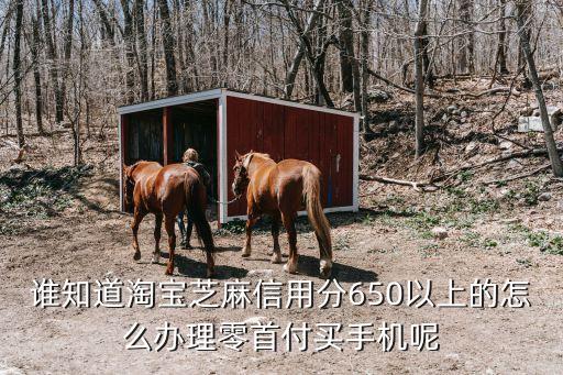 淘寶怎么零首付買手機(jī)，誰知道淘寶芝麻信用分650以上的怎么辦理零首付買手機(jī)呢