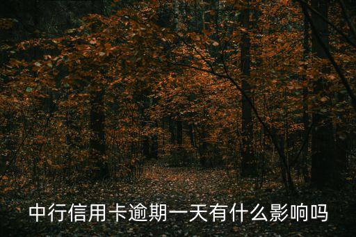 中信逾期一天會(huì)怎么樣，中信銀行信用卡還款晚了一天有沒有什么影響