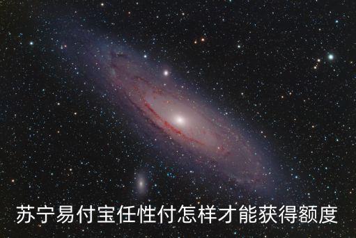 任性付額度號怎么來的，蘇寧任性付怎么出額度