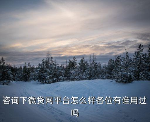 咨詢(xún)下微貸網(wǎng)平臺(tái)怎么樣各位有誰(shuí)用過(guò)嗎