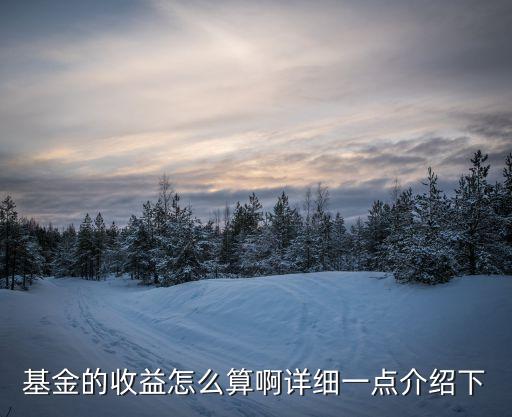 基金的收益怎么算啊詳細(xì)一點(diǎn)介紹下