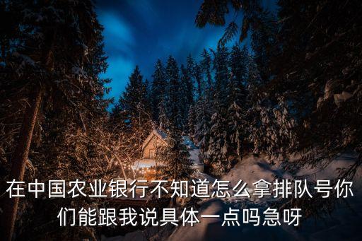 在中國農業(yè)銀行不知道怎么拿排隊號你們能跟我說具體一點嗎急呀