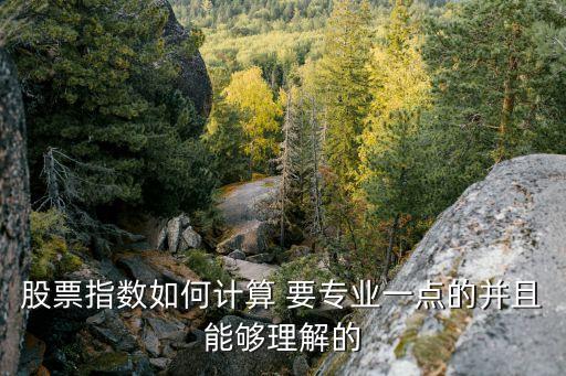 股票指數(shù)怎么算，股票指數(shù)如何計算 要專業(yè)一點的并且能夠理解的