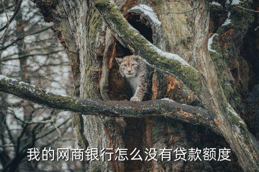 網(wǎng)商銀行怎么沒(méi)額度的，為什么我的網(wǎng)商銀行沒(méi)有額度