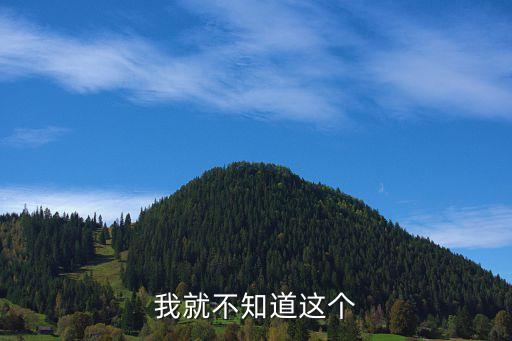 荊州太平洋保險公司怎么樣，我就不知道這個