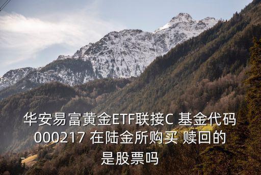 華安易富 怎么賣，那位大大幫忙華安證券在XT800上咋交易啊