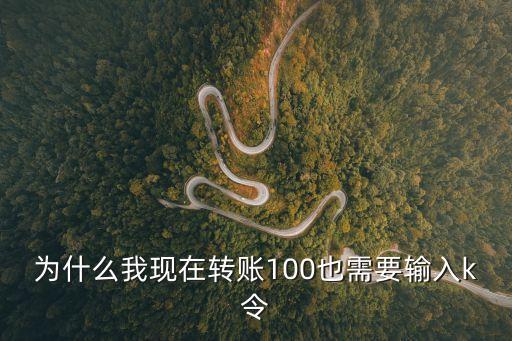 為什么我現(xiàn)在轉(zhuǎn)賬100也需要輸入k令