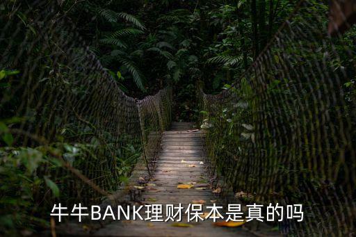 牛牛bank怎么樣，理財APP哪一個好我是說產(chǎn)品安全體驗又好哪種