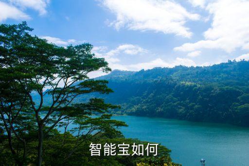 智能寶階階高怎么樣，智能寶如何