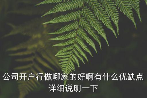 長(zhǎng)沙銀行企業(yè)開(kāi)戶行怎么樣，公司開(kāi)戶行做哪家的好啊有什么優(yōu)缺點(diǎn)詳細(xì)說(shuō)明一下