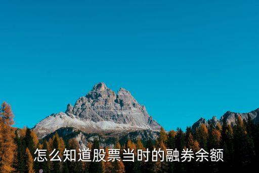 怎么查融資融券余額查詢，怎么查看每只股票當(dāng)天的融資融券數(shù)額