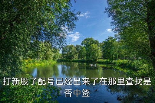 打新股了配號(hào)已經(jīng)出來了在那里查找是否中簽