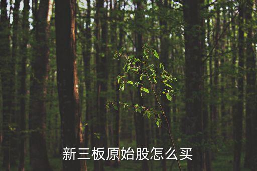 新三板原始股怎么買(mǎi)