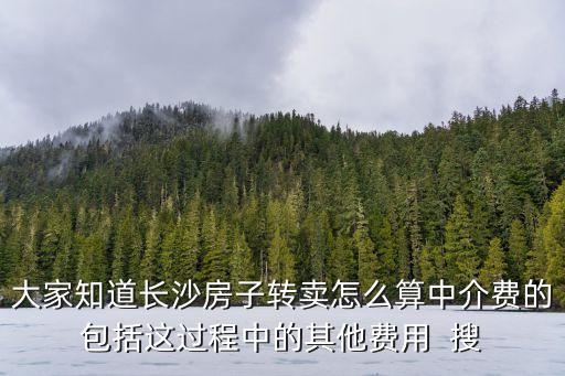 大家知道長(zhǎng)沙房子轉(zhuǎn)賣(mài)怎么算中介費(fèi)的包括這過(guò)程中的其他費(fèi)用  搜