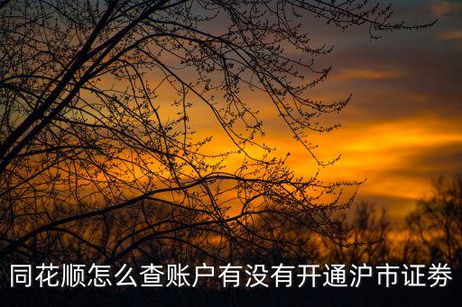同花順怎么查賬戶有沒有開通滬市證劵