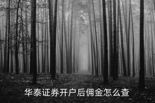 華泰證券傭金怎么查，怎么查看自己所開賬戶券商的傭金