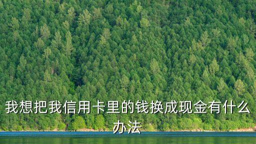 我想把我信用卡里的錢換成現(xiàn)金有什么辦法