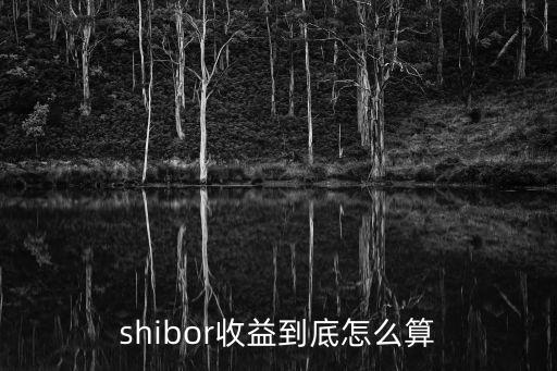 shibor收益到底怎么算
