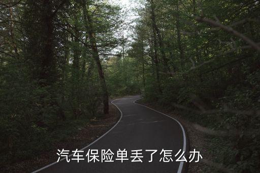 汽車(chē)保險(xiǎn)單丟了怎么辦