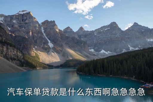 怎么解釋汽車按揭保險(xiǎn)，甚么是汽車分期付款售車信譽(yù)保險(xiǎn)