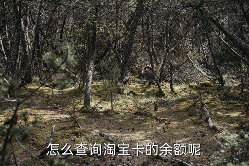 怎么看淘寶卡余額，怎么查詢淘寶卡的余額呢