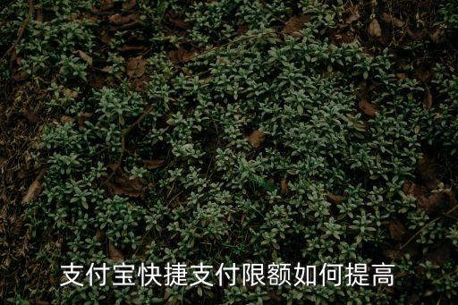 支付寶快捷支付限額如何提高