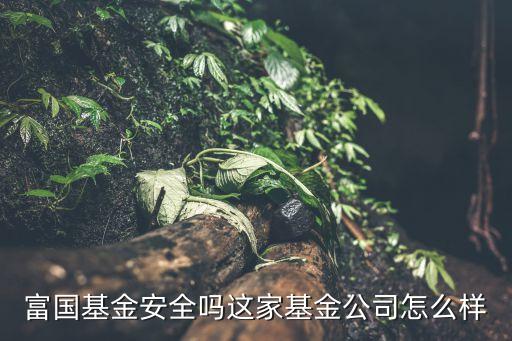 國金基金公司怎么樣，國金證券公司怎么樣