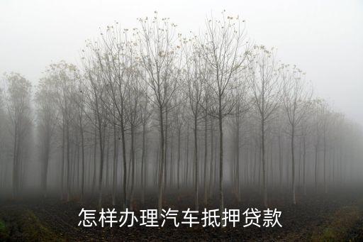 怎樣辦理汽車抵押貸款