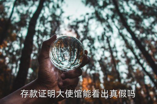 存款證明大使館能看出真假嗎