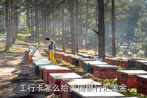 工行卡怎么給美國(guó)銀行匯美金