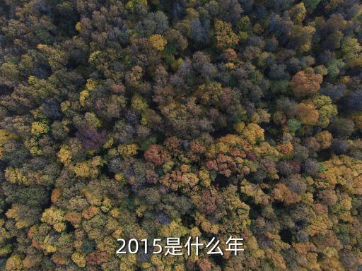 2015年怎么來的，2015是什么年