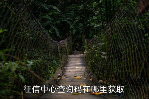 征信中心查詢碼在哪里獲取