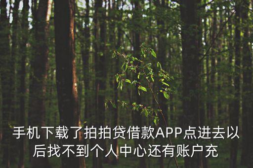 拍拍貸怎么會充值不了，拍拍貸一定要開通網(wǎng)銀才可以充值嗎