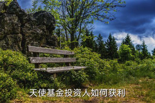 天使投資人收益怎么算，一般天使投資的回報率是多少