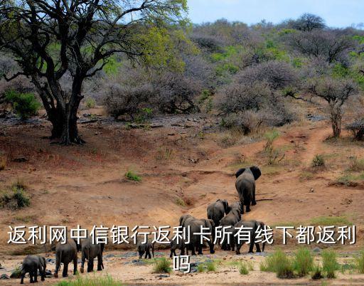 中信返利卡怎么返利網(wǎng)，中信銀行返利信用卡