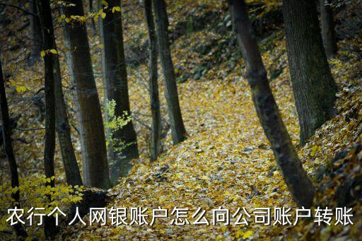農(nóng)行個人網(wǎng)銀賬戶怎么向公司賬戶轉(zhuǎn)賬