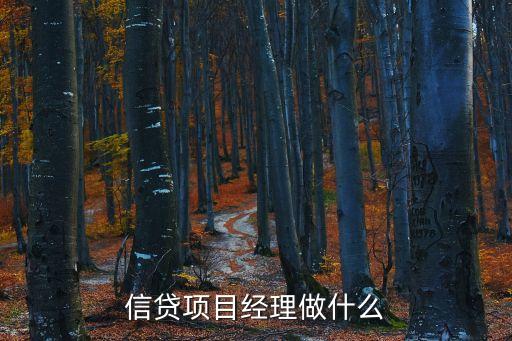 信貸項目經(jīng)理做什么