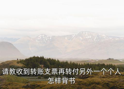 請教收到轉(zhuǎn)賬支票再轉(zhuǎn)付另外一個個人怎樣背書