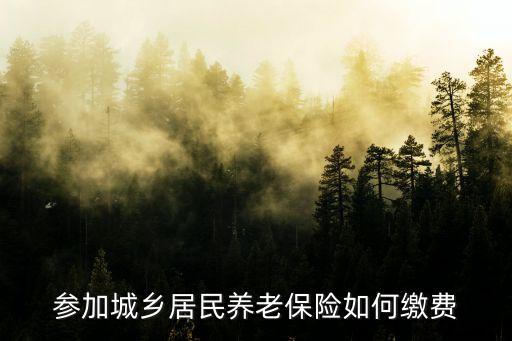 參加城鄉(xiāng)居民養(yǎng)老保險(xiǎn)如何繳費(fèi)